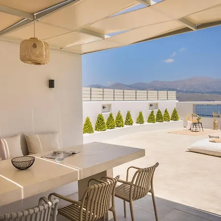 Lavanta - Iris Sunset *