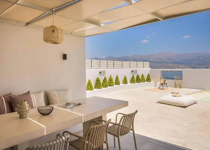 Lavanta - Iris Sunset *